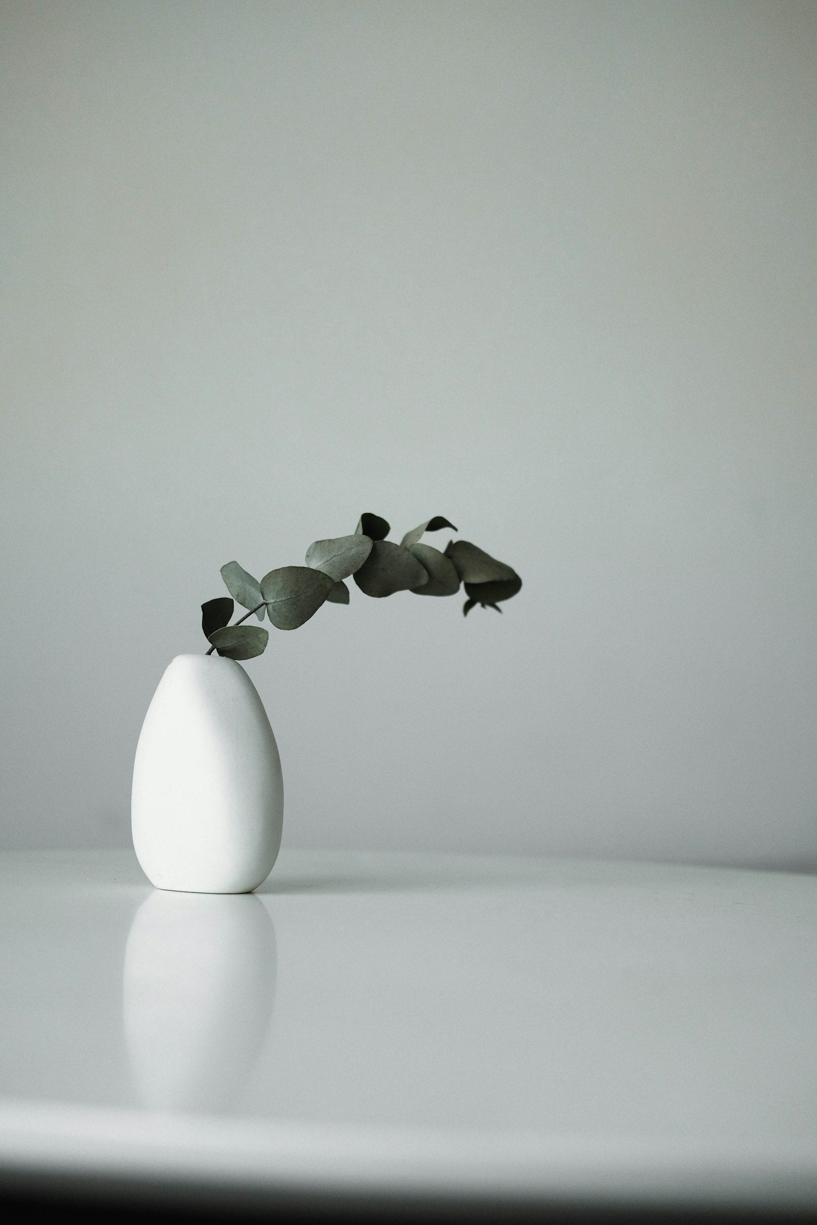White ceramic vase with greenery